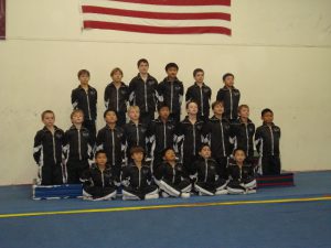 Boys gymnastics programs